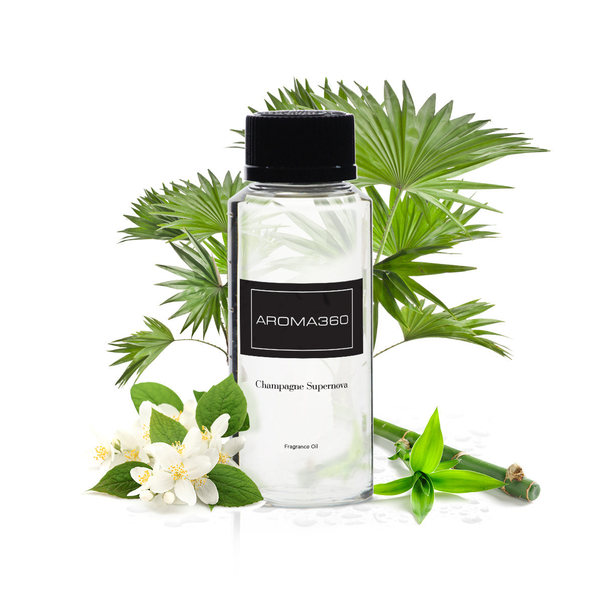 Oil - Champagne Supernova